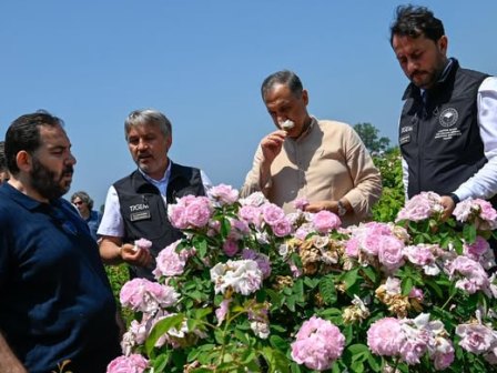 Arastirma Entitusunde GUL tanitimlari