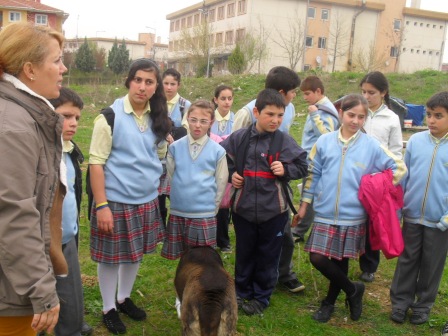 Kck bedenler de kocaman yrekler