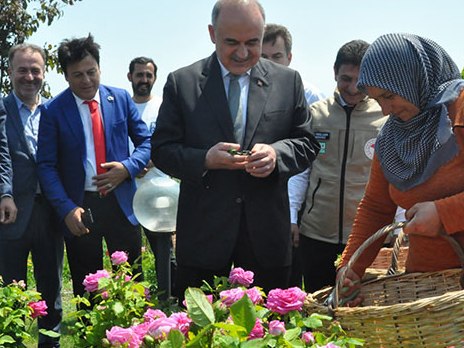 YALOVA ALTNOVA da Hasat Vakti