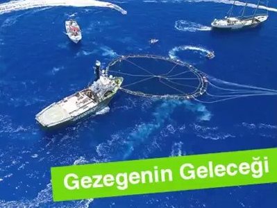 YAEP, Greenpeace Blteninde