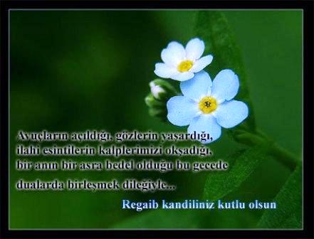 HAYIRLI KAND�LLER D�LER�Z