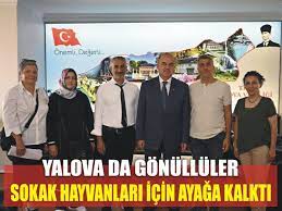 Yalova Patikent Tanitim 29 Kasim da